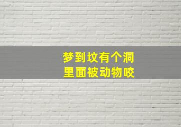 梦到坟有个洞 里面被动物咬